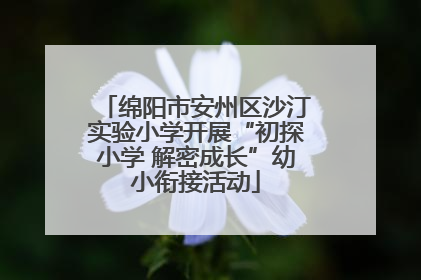 绵阳市安州区沙汀实验小学开展“初探小学 解密成长”幼小衔接活动