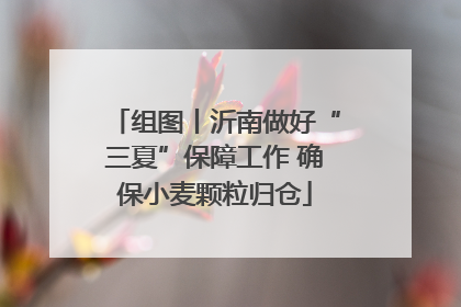 组图丨沂南做好“三夏”保障工作 确保小麦颗粒归仓