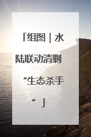 组图｜水陆联动清剿“生态杀手”