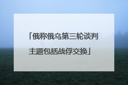 俄称俄乌第三轮谈判主题包括战俘交换