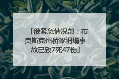 俄紧急情况部：布良斯克州桥梁坍塌事故已致7死47伤