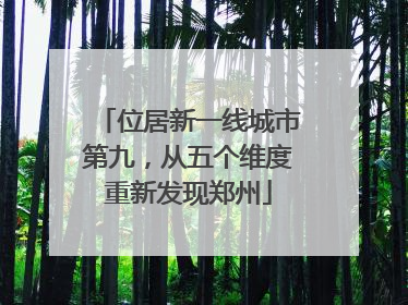 位居新一线城市第九，从五个维度重新发现郑州