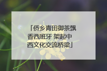 侨乡青田御茶飘香西班牙 架起中西文化交流桥梁