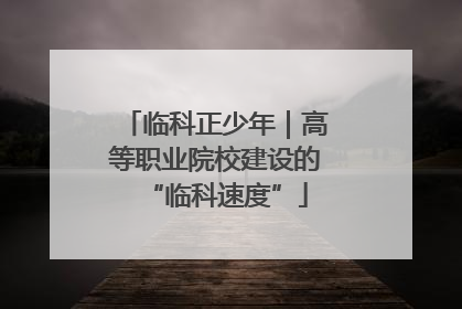 临科正少年｜高等职业院校建设的“临科速度”