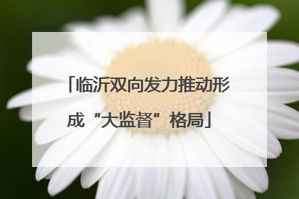 临沂双向发力推动形成“大监督”格局