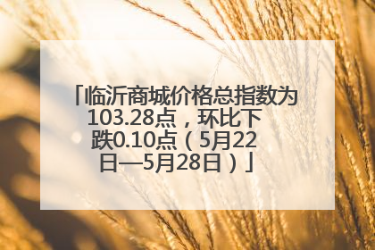 临沂商城价格总指数为103.28点，环比下跌0.10点（5月22日—5月28日）