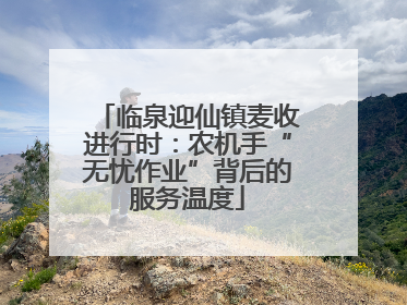 临泉迎仙镇麦收进行时：农机手“无忧作业”背后的服务温度