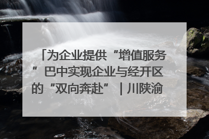 为企业提供“增值服务”巴中实现企业与经开区的“双向奔赴”｜川陕渝网络名人巴中行