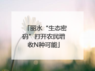 丽水“生态密码”打开农民增收N种可能