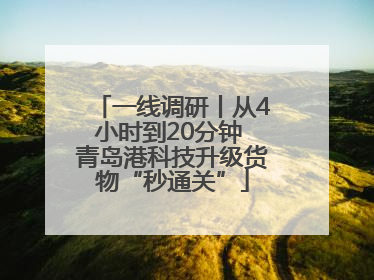 一线调研丨从4小时到20分钟 青岛港科技升级货物“秒通关”