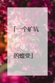 一个矿坑的蝶变