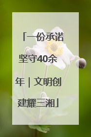 一份承诺坚守40余年｜文明创建耀三湘