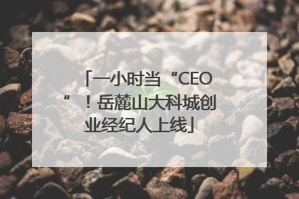一小时当“CEO”！岳麓山大科城创业经纪人上线