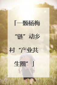 一颗杨梅“链”动乡村“产业共生圈”