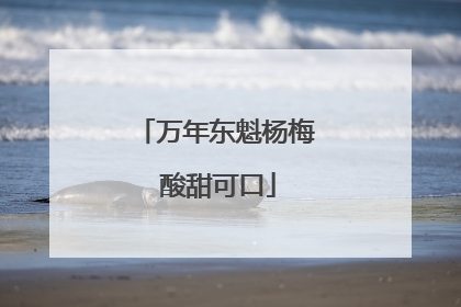 万年东魁杨梅 酸甜可口