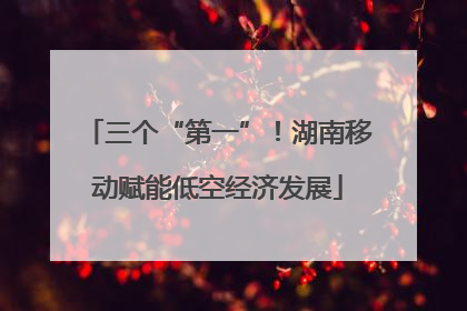 三个“第一”！湖南移动赋能低空经济发展