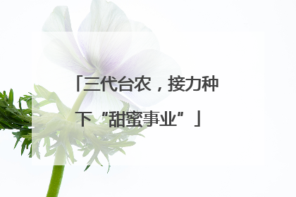 三代台农，接力种下“甜蜜事业”