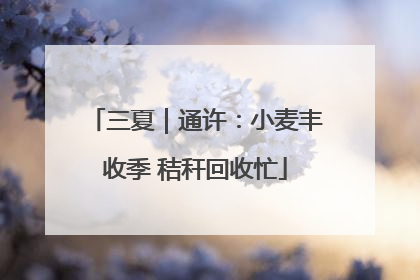 三夏｜通许：小麦丰收季 秸秆回收忙