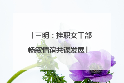 三明：挂职女干部畅叙情谊共谋发展