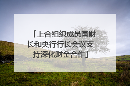 上合组织成员国财长和央行行长会议支持深化财金合作