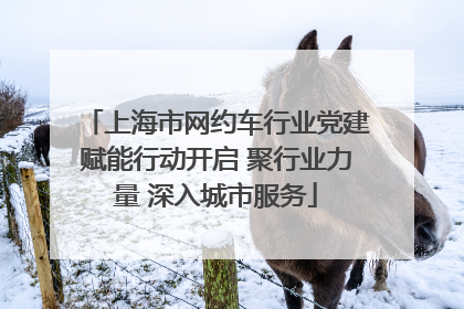 上海市网约车行业党建赋能行动开启 聚行业力量 深入城市服务