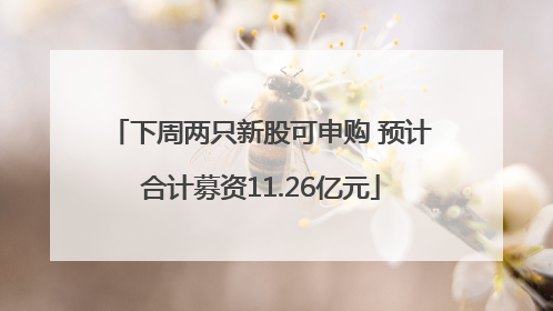下周两只新股可申购 预计合计募资11.26亿元
