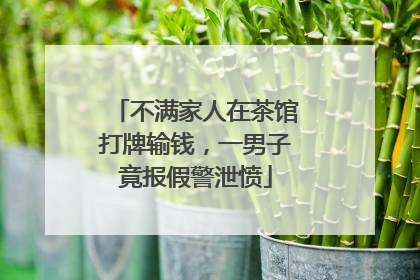 不满家人在茶馆打牌输钱，一男子竟报假警泄愤