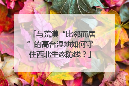 与荒漠“比邻而居”的高台湿地如何守住西北生态防线？