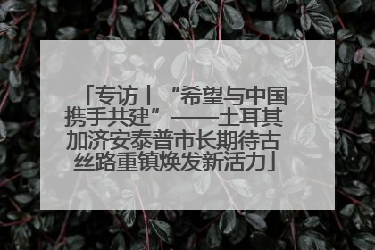 专访丨“希望与中国携手共建”——土耳其加济安泰普市长期待古丝路重镇焕发新活力