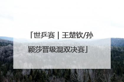 世乒赛｜王楚钦/孙颖莎晋级混双决赛