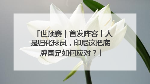 世预赛｜首发阵容十人是归化球员，印尼这把底牌国足如何应对？