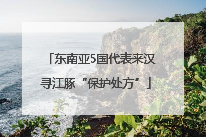东南亚5国代表来汉寻江豚“保护处方”