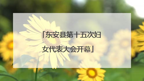 东安县第十五次妇女代表大会开幕