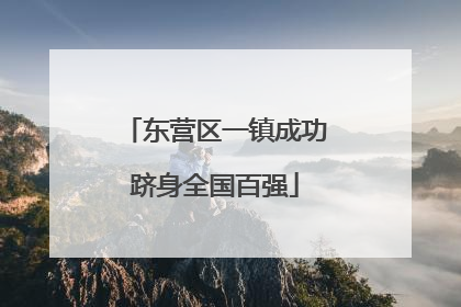 东营区一镇成功跻身全国百强