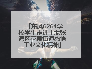 东风6264学校学生走进十堰张湾区花果街道感悟工业文化精神