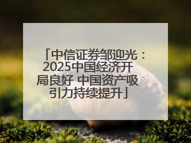 中信证券邹迎光：2025中国经济开局良好 中国资产吸引力持续提升