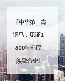 中华第一青铜马：见证1800年前民族融合史