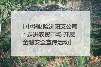 中华财险浏阳支公司：走进农贸市场 开展金融安全宣传活动
