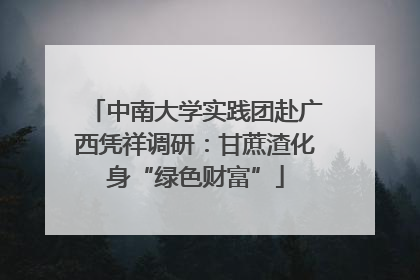 中南大学实践团赴广西凭祥调研：甘蔗渣化身“绿色财富”