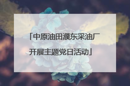 中原油田濮东采油厂开展主题党日活动