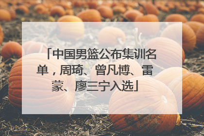 中国男篮公布集训名单，周琦、曾凡博、雷蒙、廖三宁入选