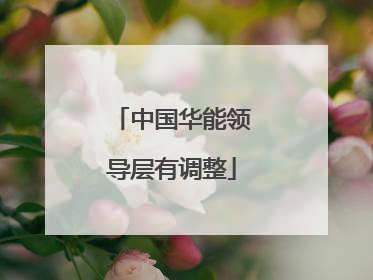 中国华能领导层有调整