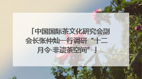 中国国际茶文化研究会副会长张仲灿一行调研“十二月令·非遗茶空间”