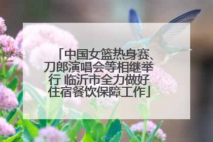 中国女篮热身赛、刀郎演唱会等相继举行 临沂市全力做好住宿餐饮保障工作