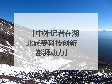 中外记者在湖北感受科技创新澎湃动力