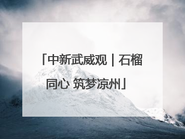 中新武威观｜石榴同心 筑梦凉州