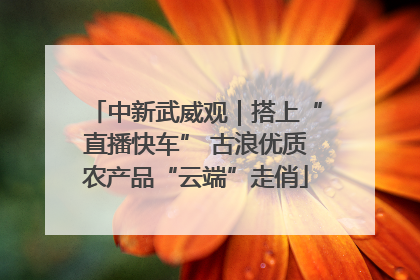中新武威观｜搭上“直播快车” 古浪优质农产品“云端”走俏
