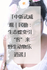 中新武威观｜民勤：生态蝶变引“客”来 野生动物乐逍遥