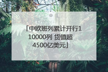 中欧班列累计开行110000列 货值超4500亿美元