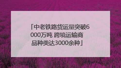 中老铁路货运量突破6000万吨 跨境运输商品种类达3000余种